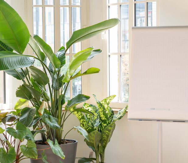 URBN JUNGLE Coworking - Event Location mieten in Leipzig