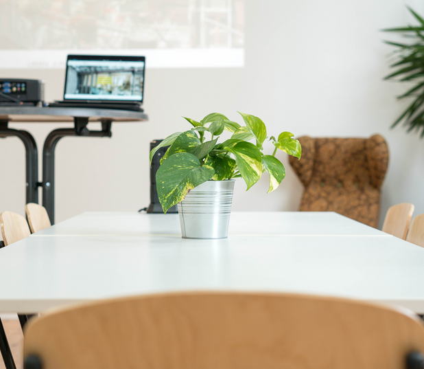 URBN JUNGLE Coworking - Seminarraum mieten in Leipzig